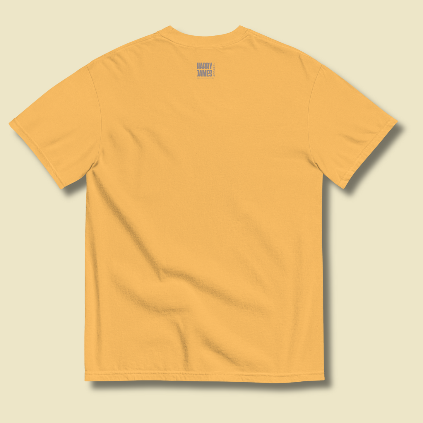 I Rather Get Abducted By Aliens™ Heavyweight Graphic Tee