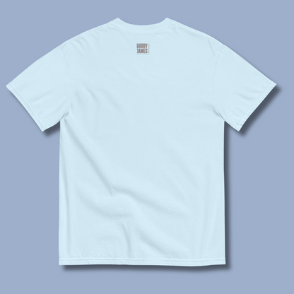 I Rather Get Abducted By Aliens™ Heavyweight Graphic Tee