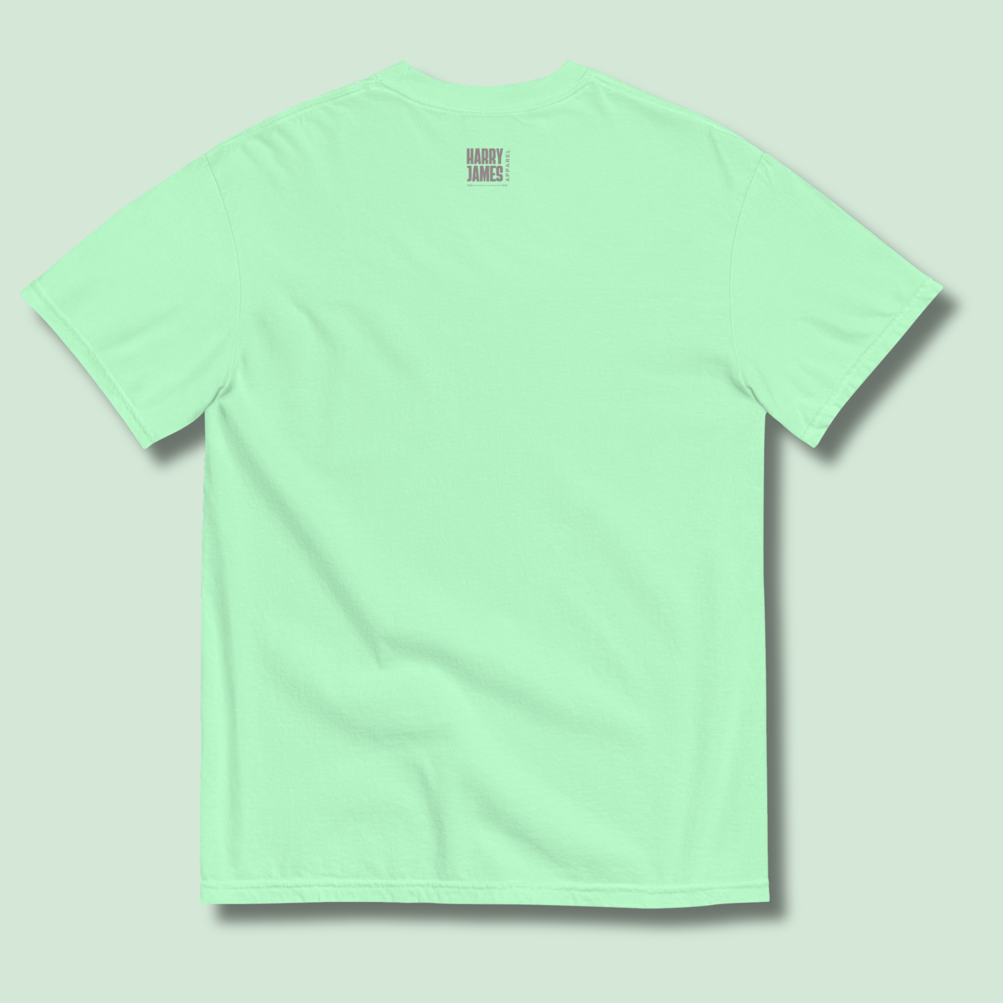 I Rather Get Abducted By Aliens™ Heavyweight Graphic Tee