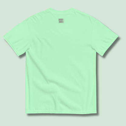 I Rather Get Abducted By Aliens™ Heavyweight Graphic Tee