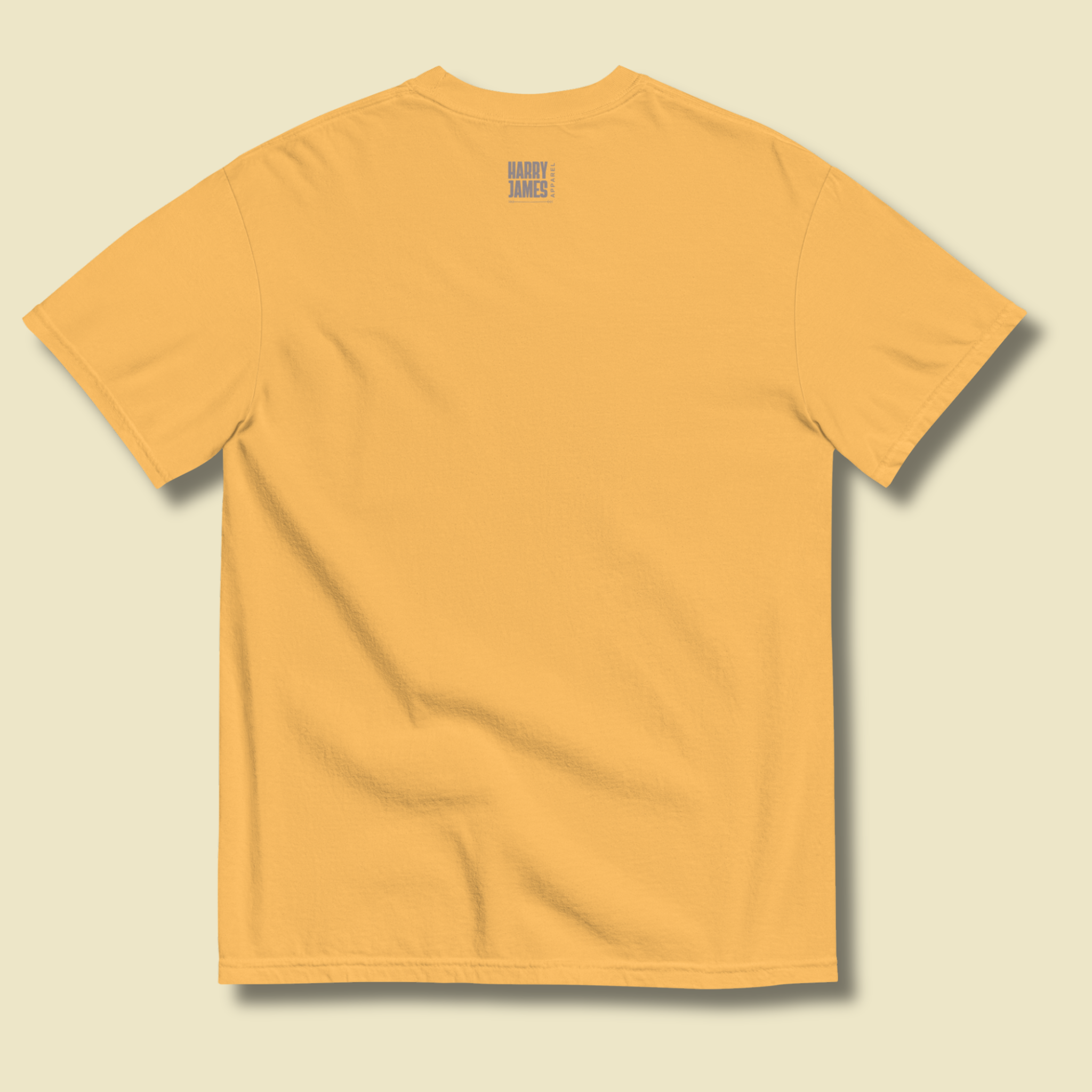 I Rather Get Abducted By Aliens™ Heavyweight Graphic Tee