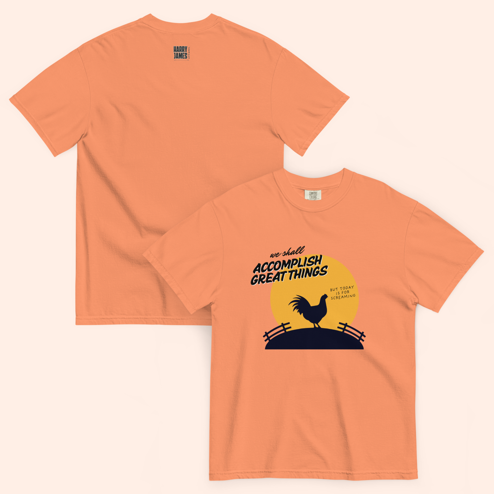 Today is for Screaming™ | Heavyweight Graphic Tee